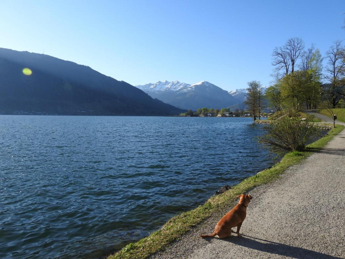 Pension Alpenrose Zell am See Exterior photo