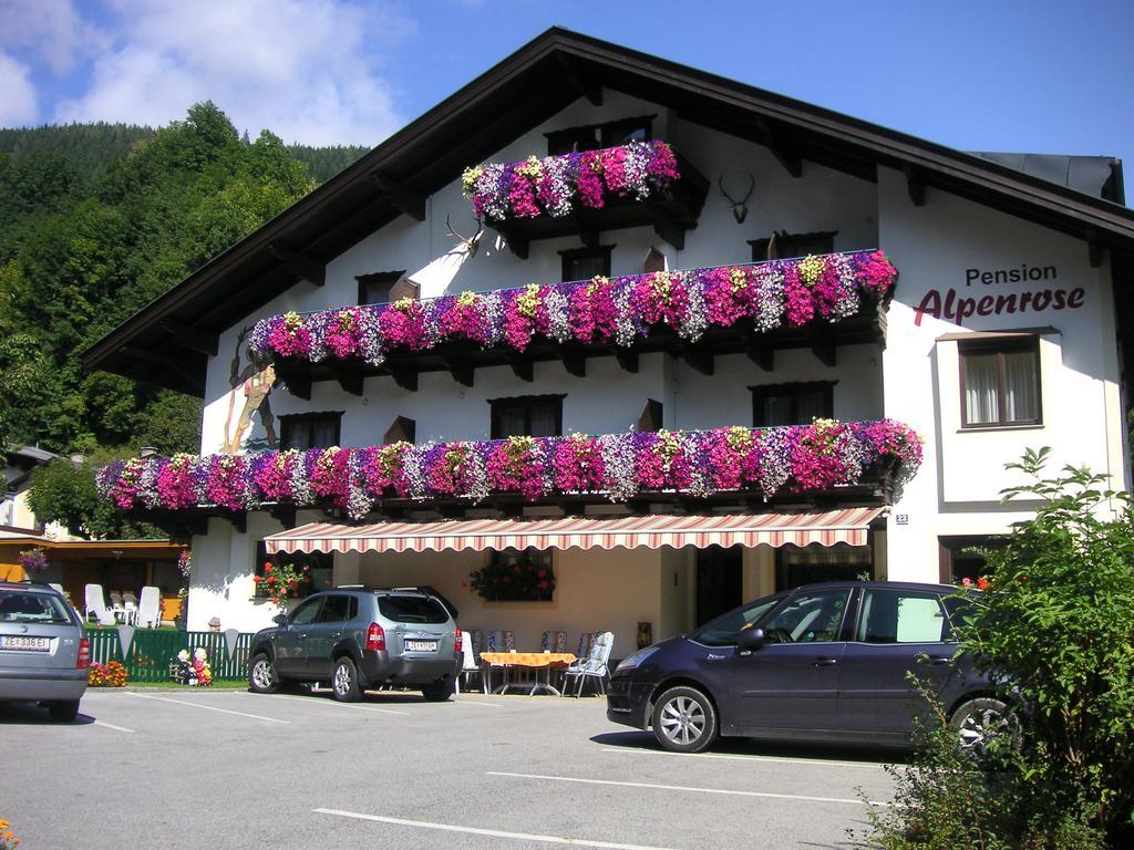 Pension Alpenrose Zell am See Exterior photo