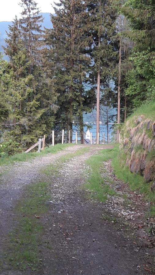 Pension Alpenrose Zell am See Exterior photo